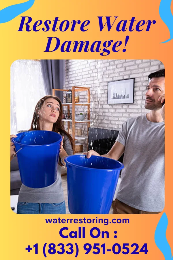 water restoration Royal Disaster Recovery Masters Taylor