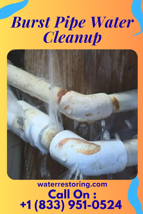 Burst Pipe Water Cleanup in Taylor, NE